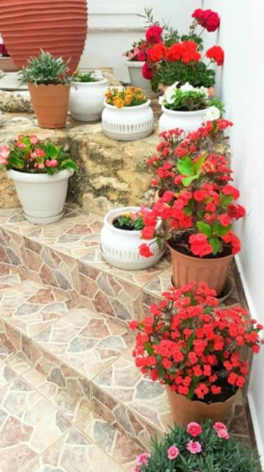 Newly Reconstructed Flat 107Sqm! Chania (Crete) Exterior photo