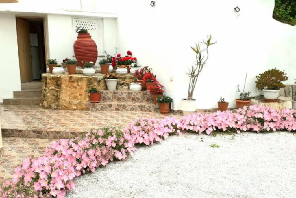 Newly Reconstructed Flat 107Sqm! Chania (Crete) Exterior photo